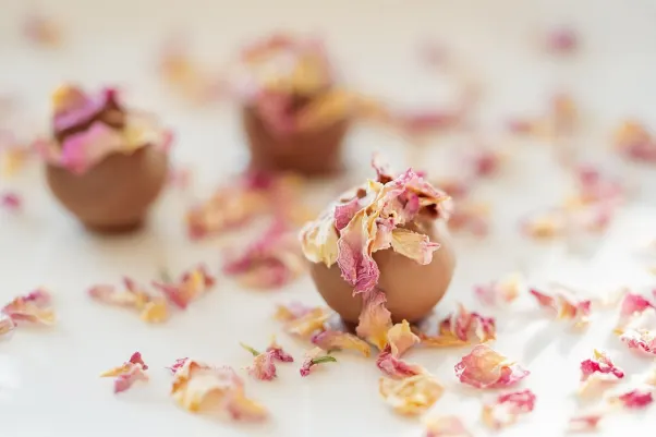 Καζίνο Ροκετ Σλοτς Εφαρμογή Android/iOS